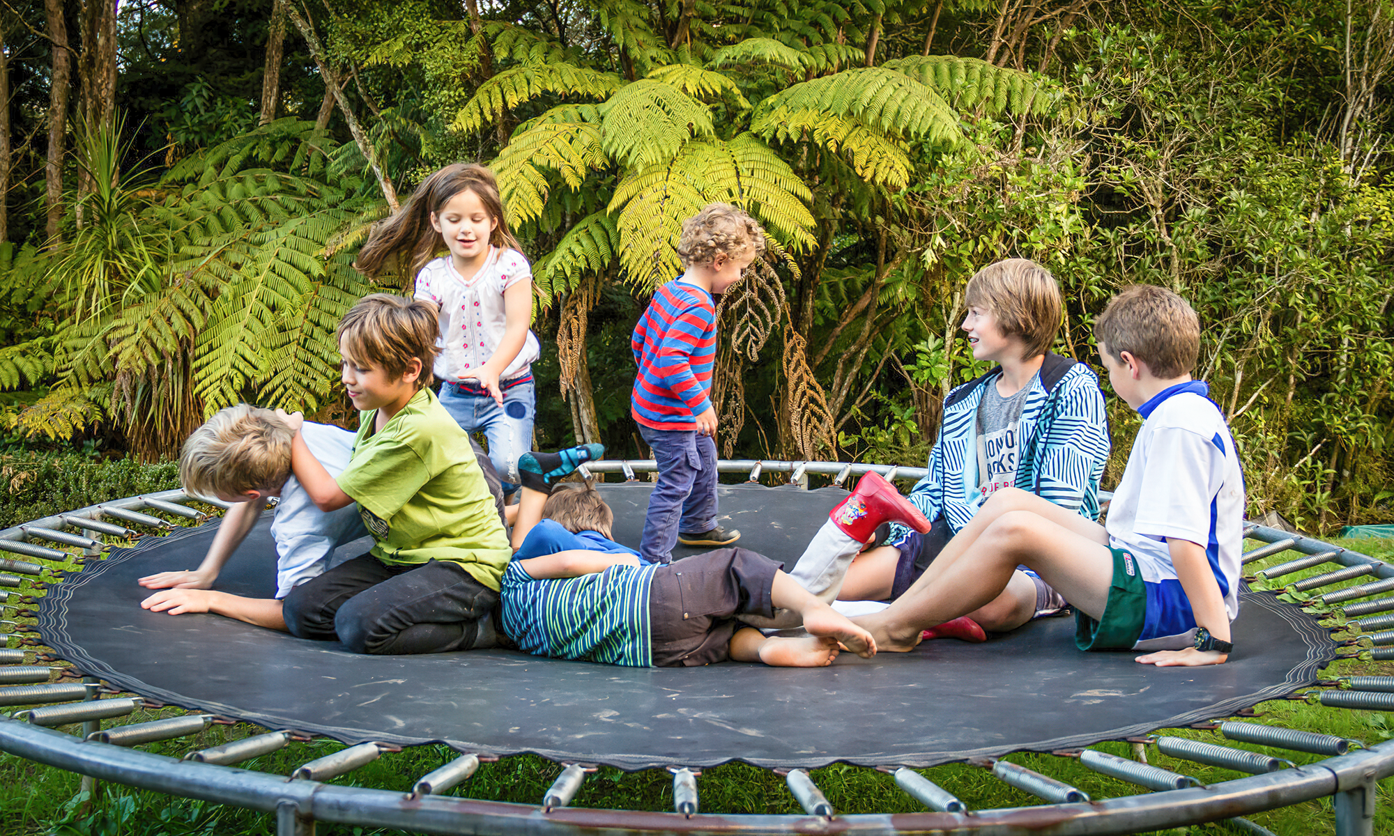 A group of children playing on a trampoline with a forest background